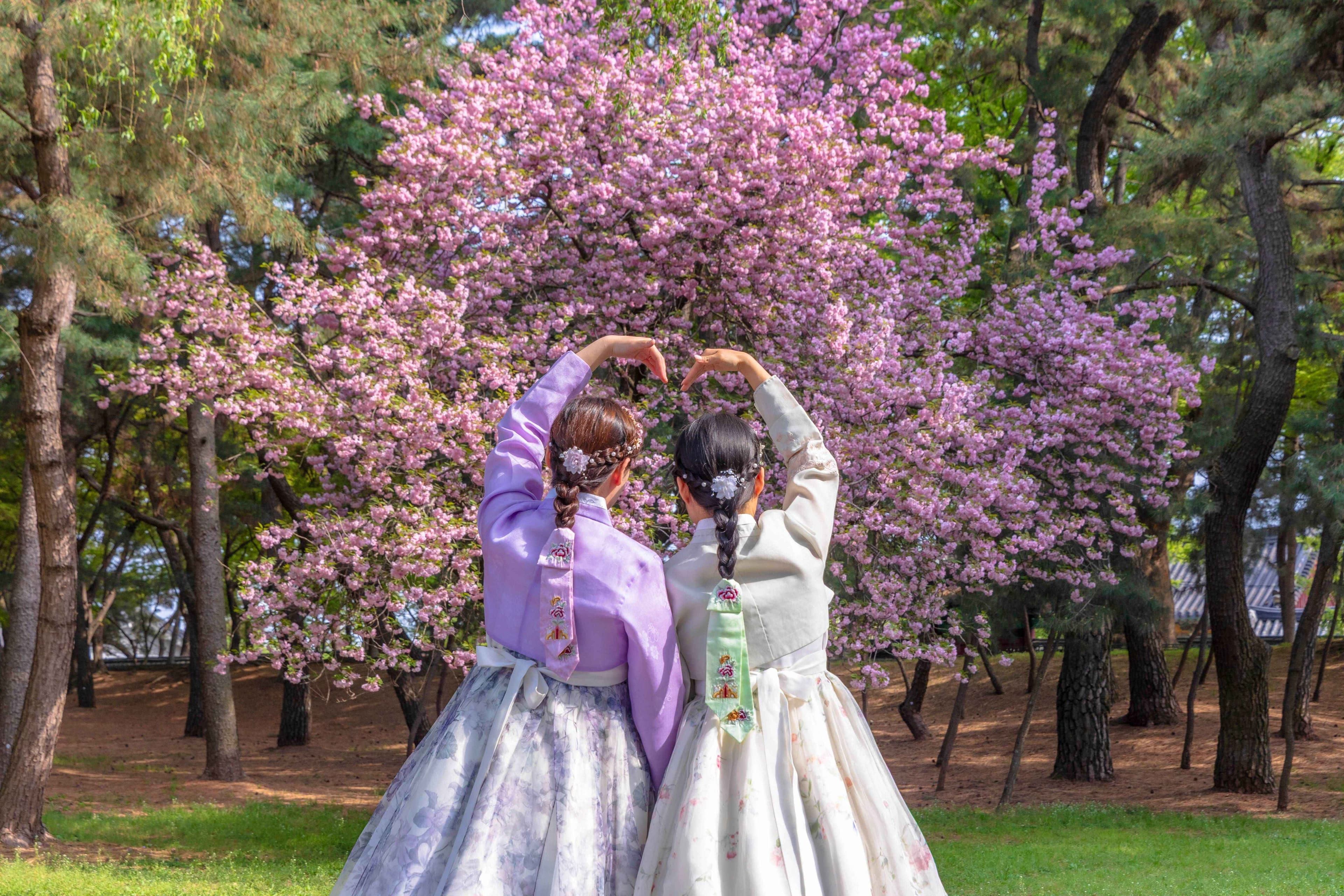 한국 사회와 문화